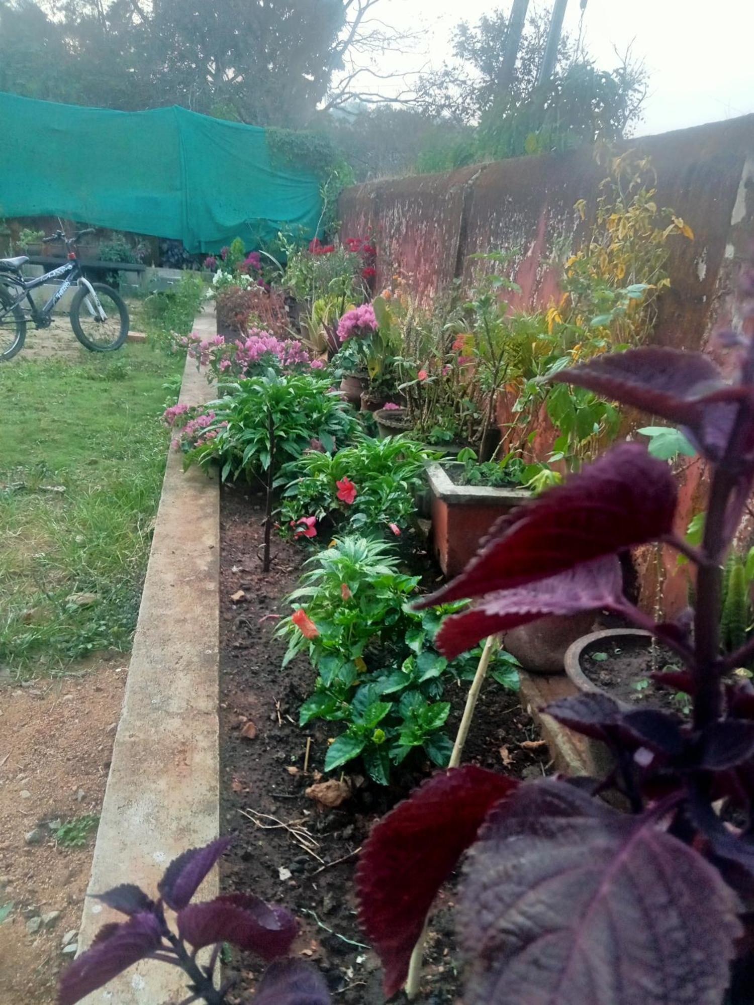 Eshwarkrupa Homestay Madikeri Exterior photo
